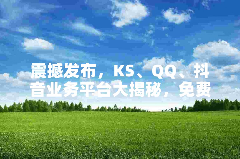 震撼发布，KS、QQ、抖音业务平台大揭秘，免费软件与代网站全解析！