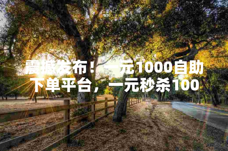 震撼发布！一元1000自助下单平台，一元秒杀1000元