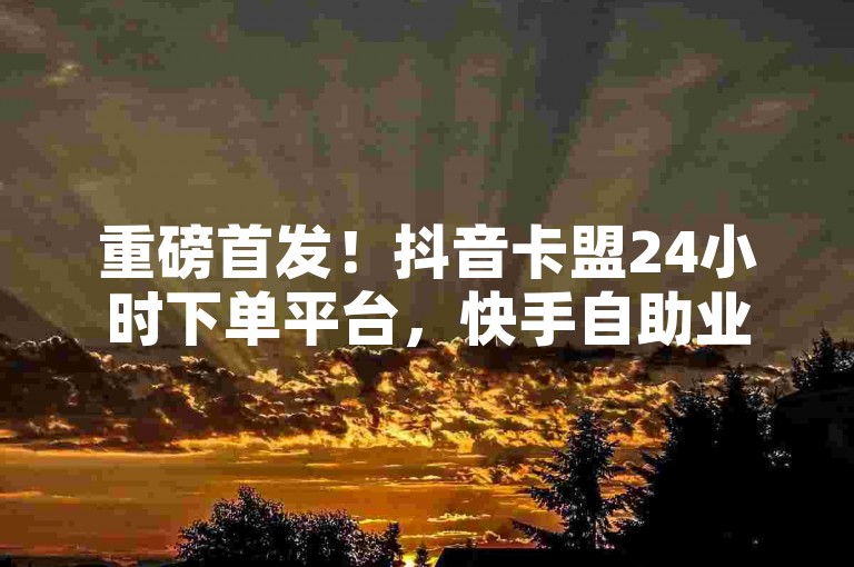 重磅首发！抖音卡盟24小时下单平台，快手自助业务及作品评论下单揭秘