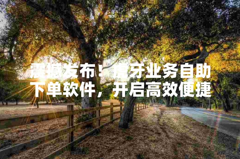 震撼发布！虎牙业务自助下单软件，开启高效便捷新体验