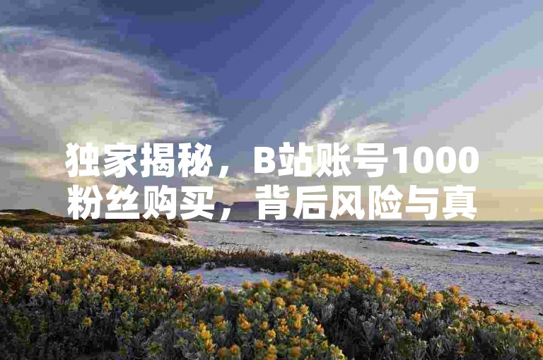 独家揭秘，B站账号1000粉丝购买，背后风险与真相你知道吗？