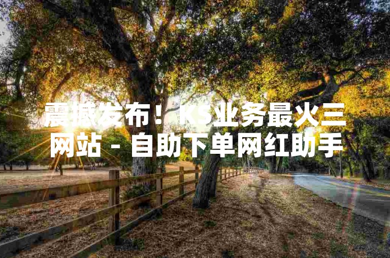 震撼发布！KS业务最火三网站 - 自助下单网红助手