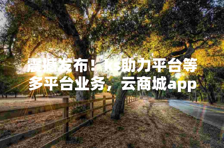 震撼发布！ks助力平台等多平台业务，云商城app官方正版下载来袭