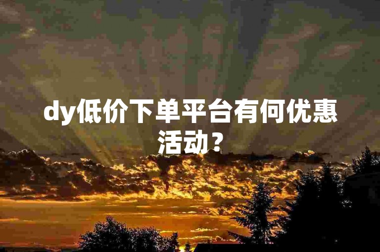 dy低价下单平台有何优惠活动？