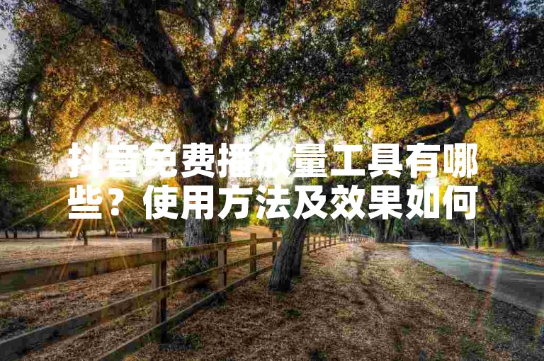 抖音免费播放量工具有哪些？使用方法及效果如何？