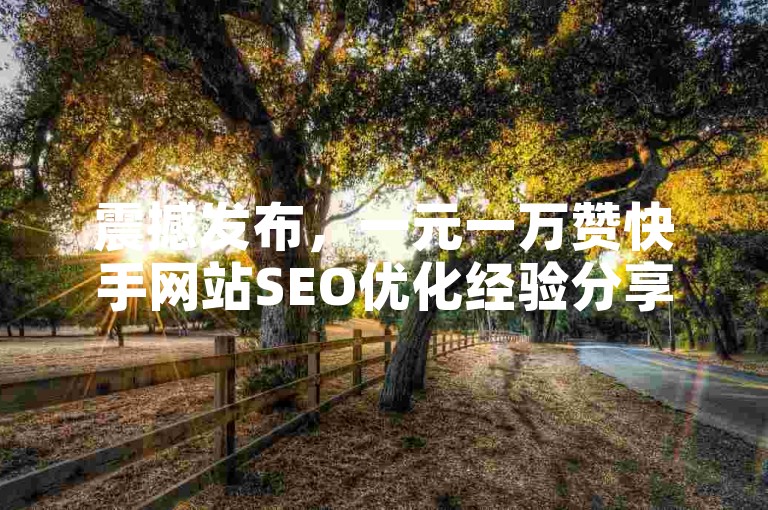 震撼发布，一元一万赞快手网站SEO优化经验分享