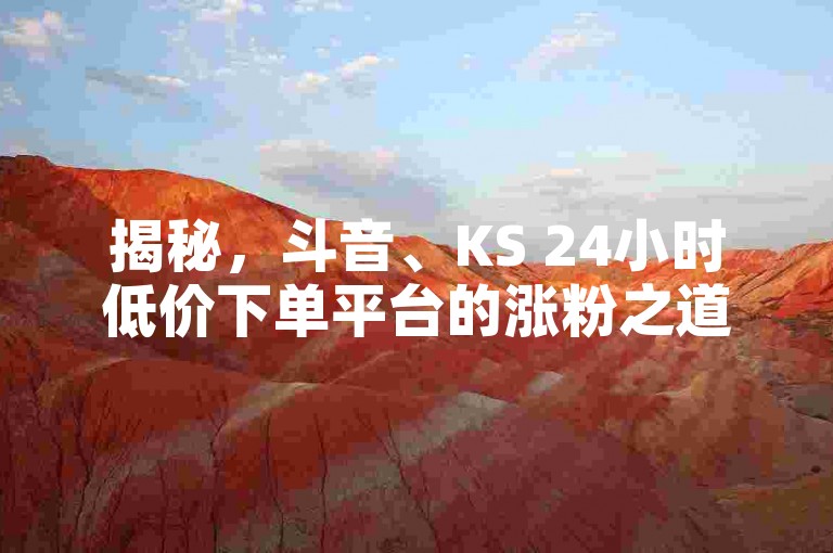 揭秘，斗音、KS 24小时低价下单平台的涨粉之道