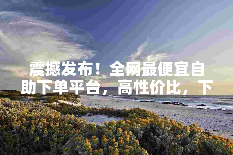 震撼发布！全网最便宜自助下单平台，高性价比，下单超划算