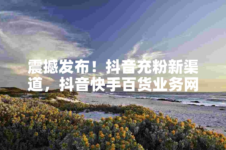 震撼发布！抖音充粉新渠道，抖音快手百货业务网开启财富之旅