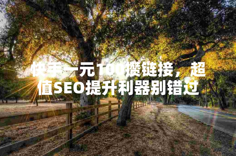 快手一元100攒链接，超值SEO提升利器别错过