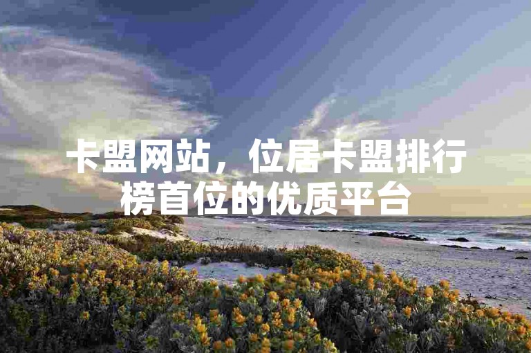 卡盟网站，位居卡盟排行榜首位的优质平台
