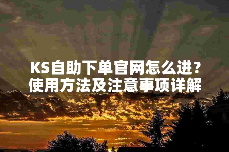 KS自助下单官网怎么进？使用方法及注意事项详解