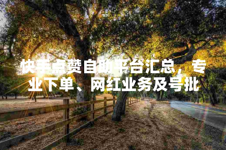 快手点赞自助平台汇总，专业下单、网红业务及号批发网