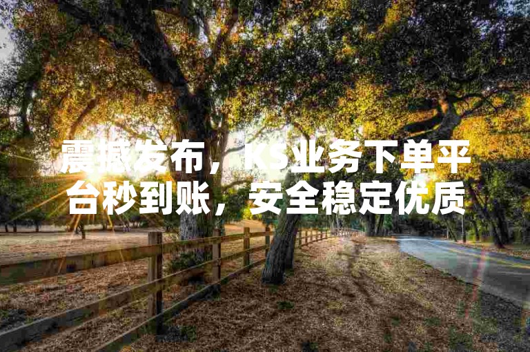 震撼发布，KS业务下单平台秒到账，安全稳定优质，新人必备！