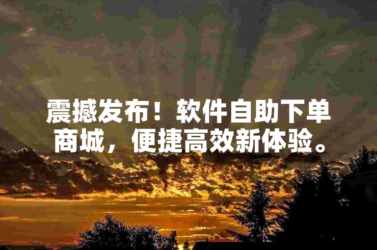 震撼发布！软件自助下单商城，便捷高效新体验。