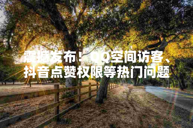 震撼发布！QQ空间访客、抖音点赞权限等热门问题全解析