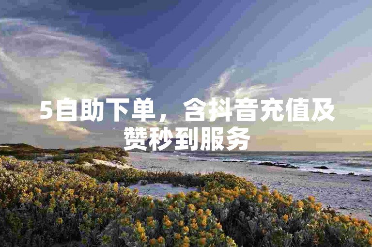 5自助下单，含抖音充值及赞秒到服务