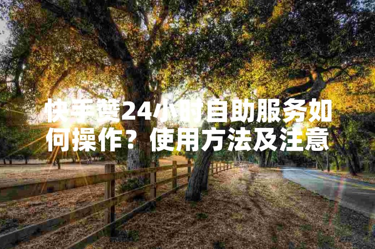 快手赞24小时自助服务如何操作？使用方法及注意事项详解