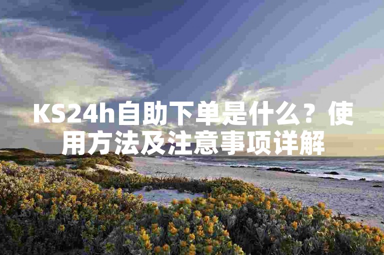 KS24h自助下单是什么？使用方法及注意事项详解
