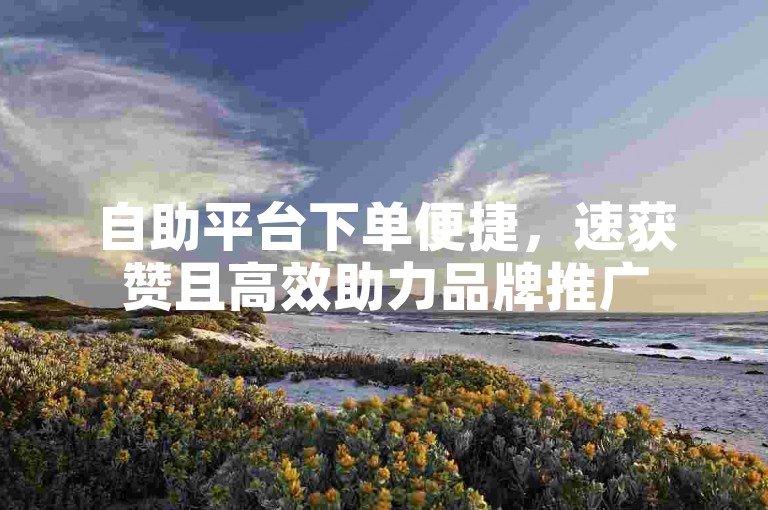 自助平台下单便捷，速获赞且高效助力品牌推广