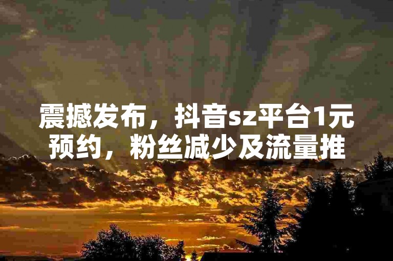 震撼发布，抖音sz平台1元预约，粉丝减少及流量推送揭秘