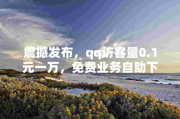 震撼发布，qq访客量0.1元一万，免费业务自助下单平台来袭！