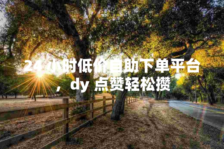 24 小时低价自助下单平台，dy 点赞轻松攒