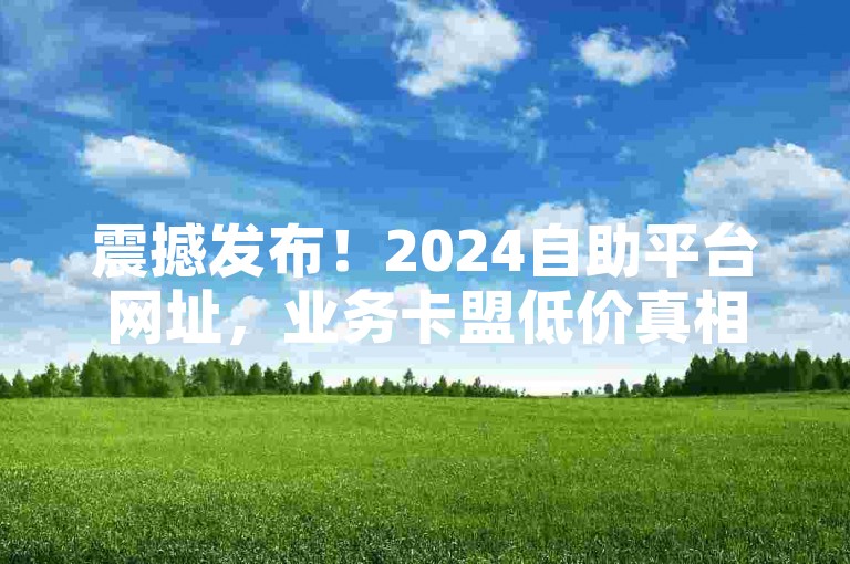 震撼发布！2024自助平台网址，业务卡盟低价真相紧急辟谣