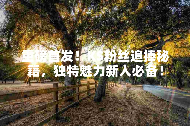 重磅首发！KS粉丝追捧秘籍，独特魅力新人必备！
