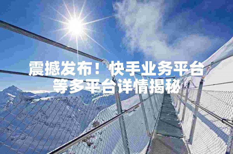震撼发布！快手业务平台等多平台详情揭秘