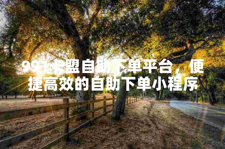 991卡盟自助下单平台，便捷高效的自助下单小程序