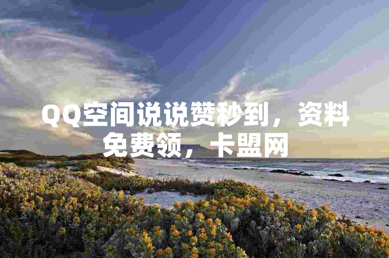 QQ空间说说赞秒到，资料免费领，卡盟网