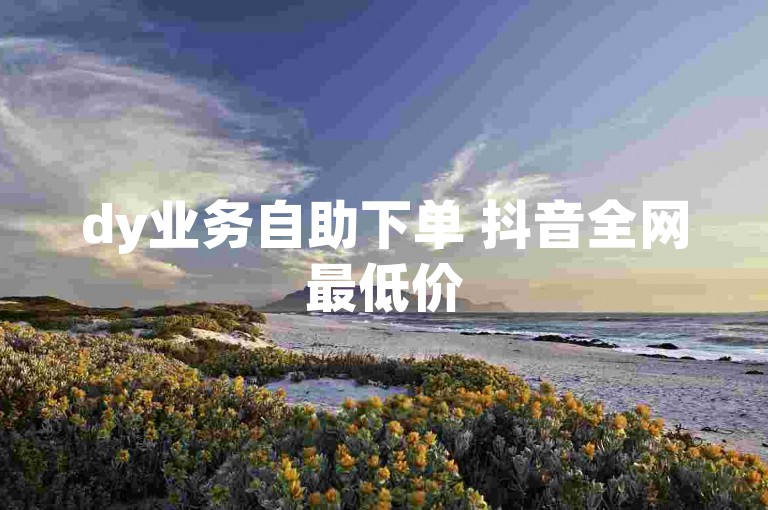 dy业务自助下单 抖音全网最低价