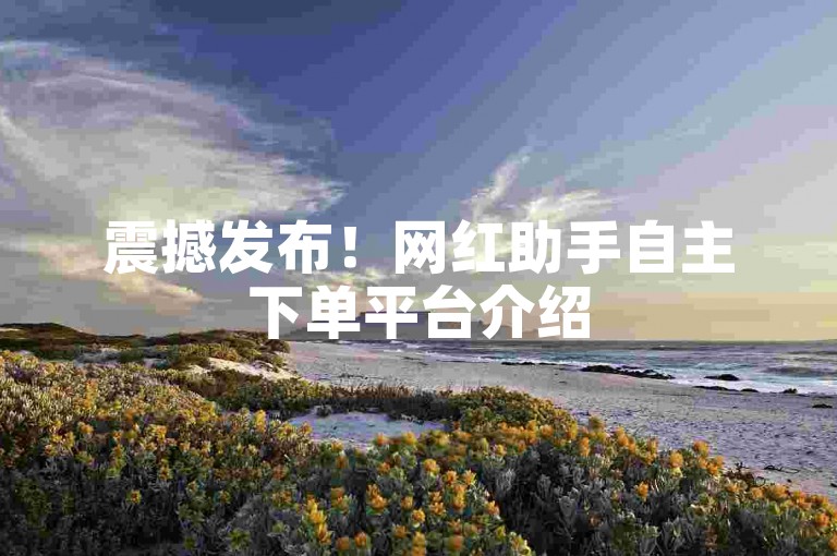 震撼发布！网红助手自主下单平台介绍