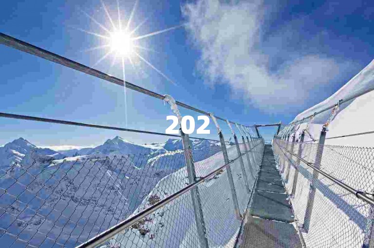 2025抖音快速涨粉500的独家秘籍是什么