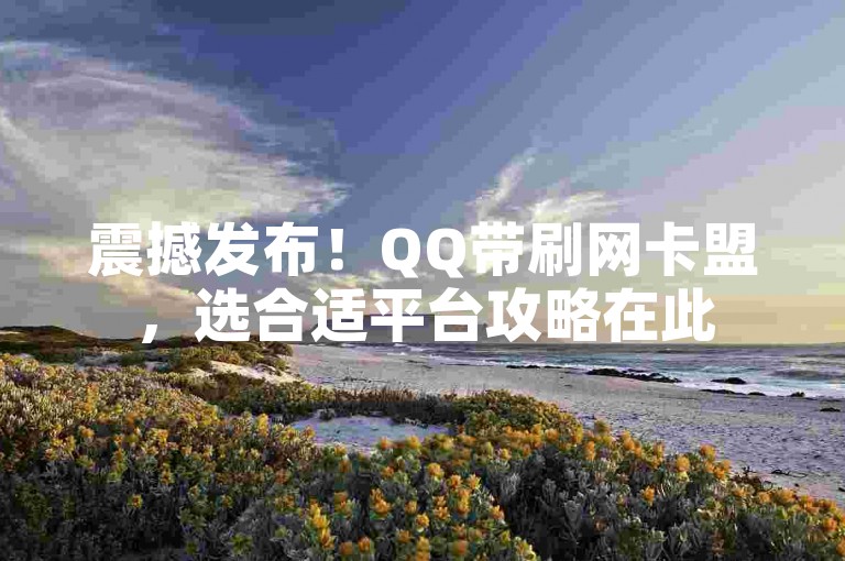震撼发布！QQ带刷网卡盟，选合适平台攻略在此