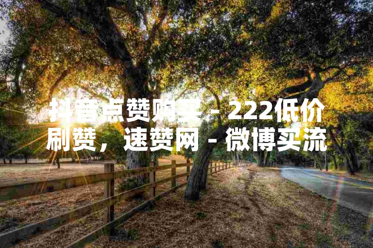 抖音点赞购买 - 222低价刷赞，速赞网 - 微博买流量平台