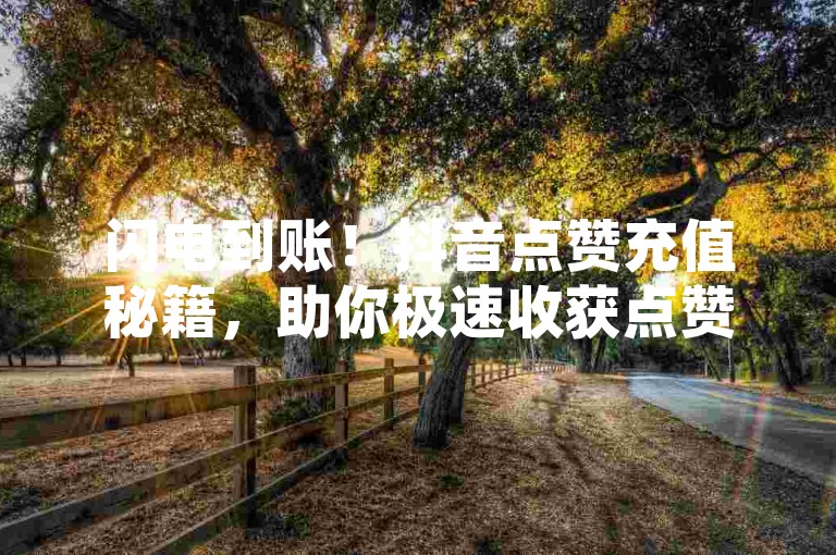 闪电到账！抖音点赞充值秘籍，助你极速收获点赞！