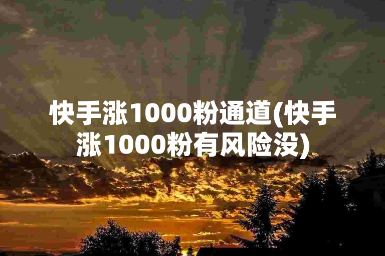 快手涨1000粉通道(快手涨1000粉有风险没)
