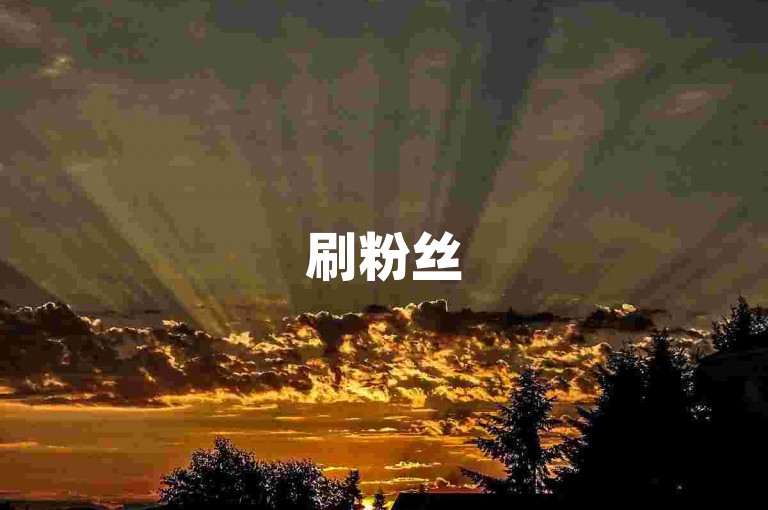 刷粉丝5分5000粉平台 - 快手业务承接站点，星耀卡盟 - 快手涨粉自助下单20粉