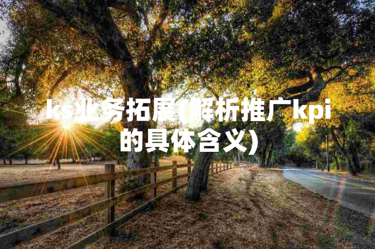 ks业务拓展(解析推广kpi的具体含义)