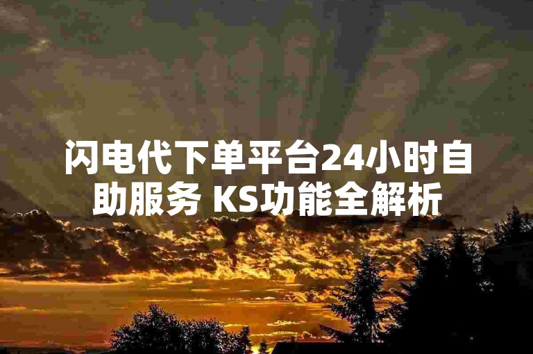 闪电代下单平台24小时自助服务 KS功能全解析
