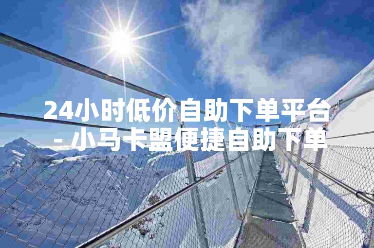 24小时低价自助下单平台 - 小马卡盟便捷自助下单