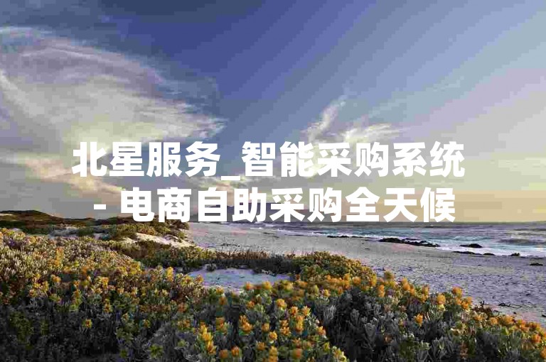 北星服务_智能采购系统 - 电商自助采购全天候