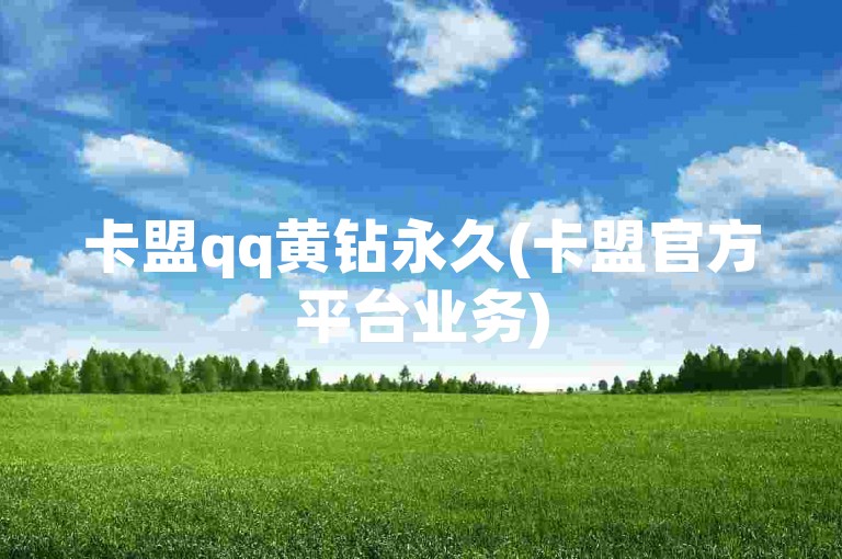 卡盟qq黄钻永久(卡盟官方平台业务)