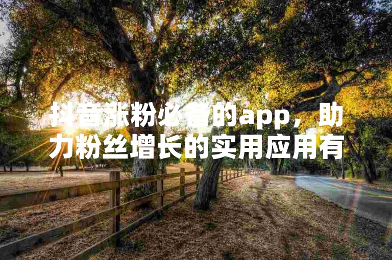 抖音涨粉必备的app，助力粉丝增长的实用应用有哪些