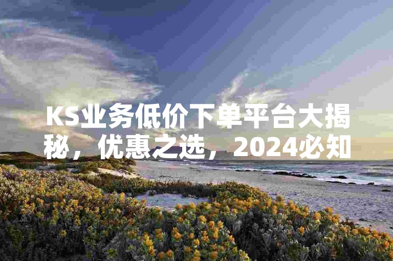 KS业务低价下单平台大揭秘，优惠之选，2024必知！