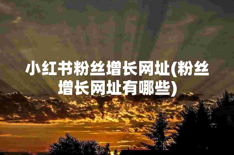 小红书粉丝增长网址(粉丝增长网址有哪些)