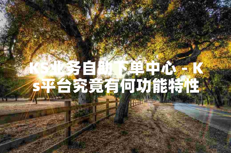 KS业务自助下单中心 - Ks平台究竟有何功能特性