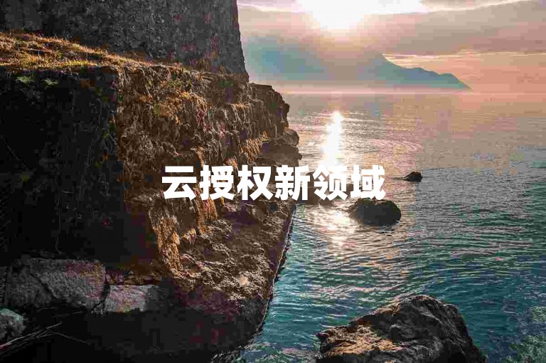 云授权新领域